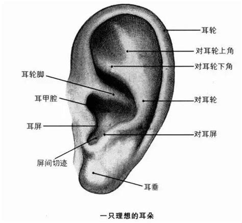 耳朵有痣可以打耳洞嗎